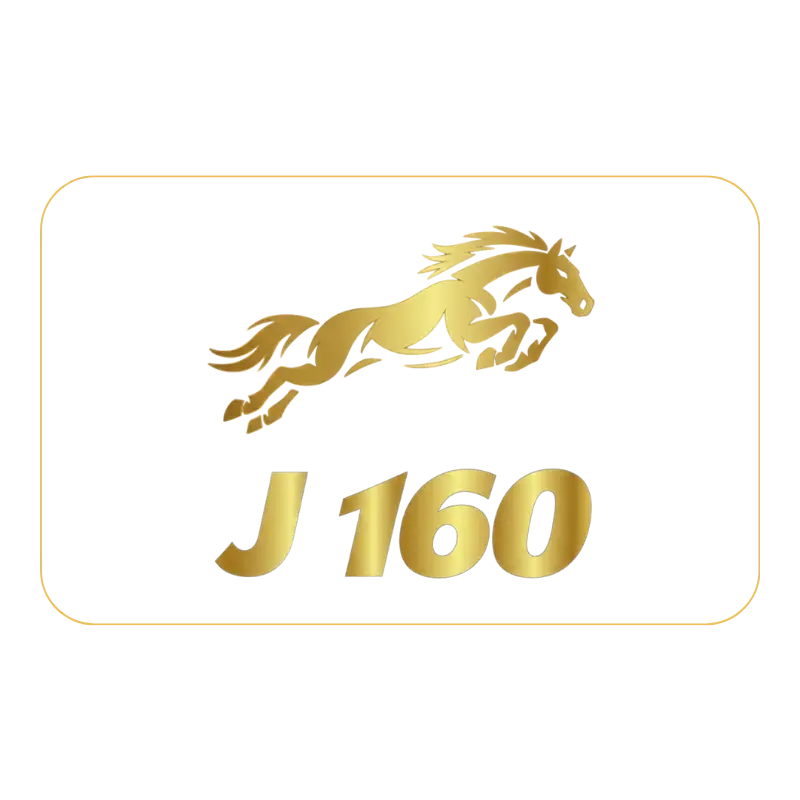 J160 V6 Icone 160FOALS