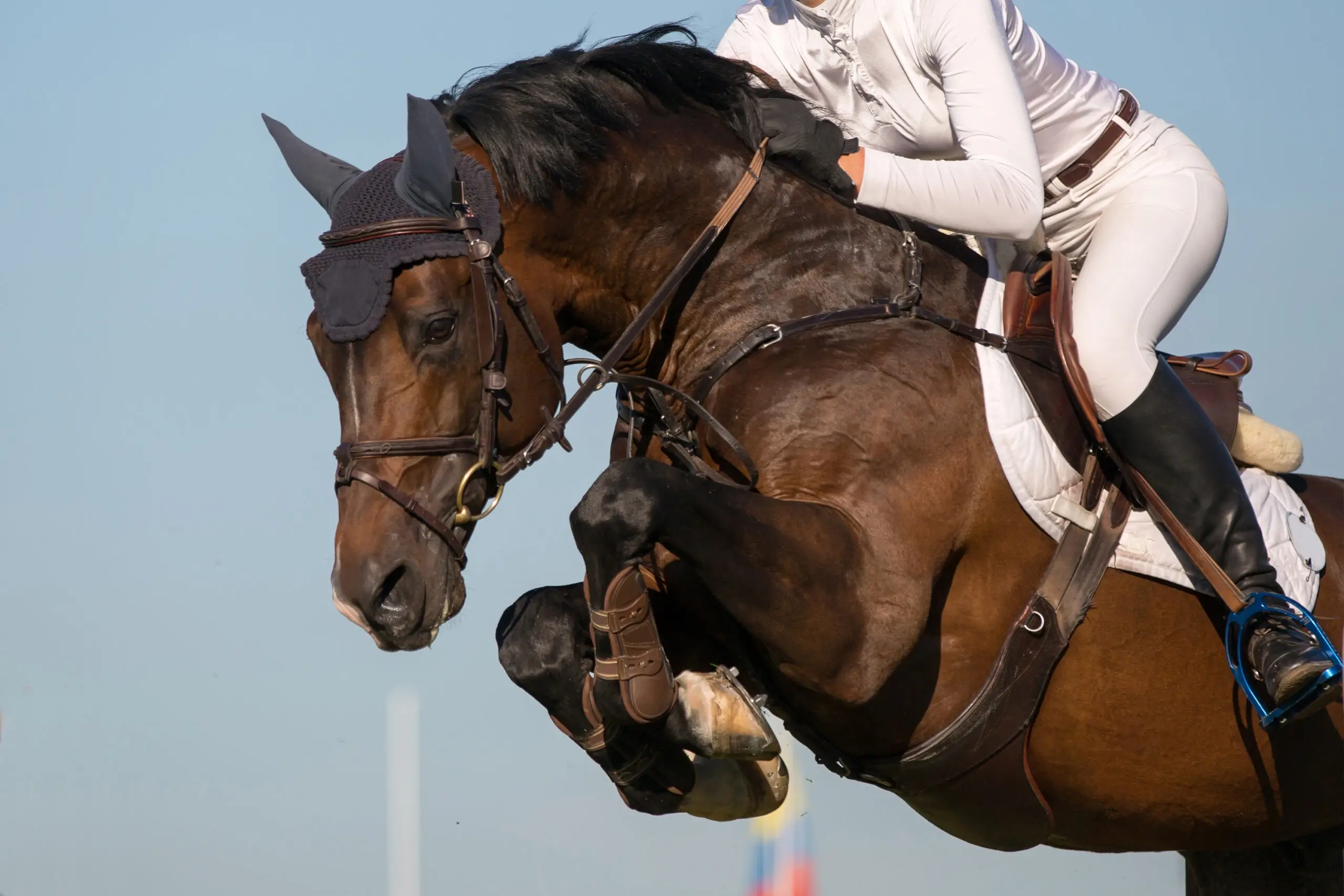 Young-horse rider over a fence