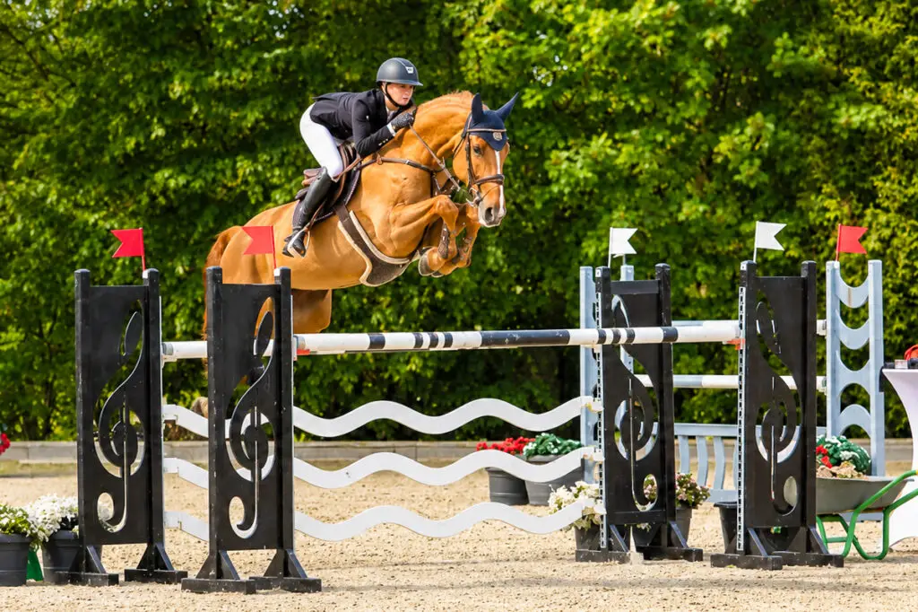 Chapeau jumping 1,60m