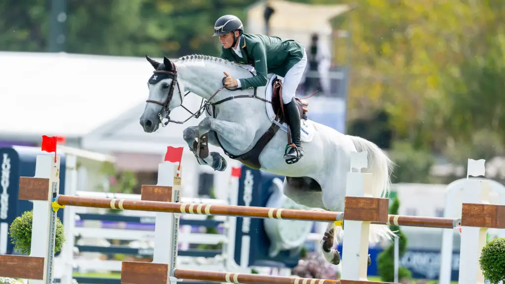 Cinca 3, an Olympic mare