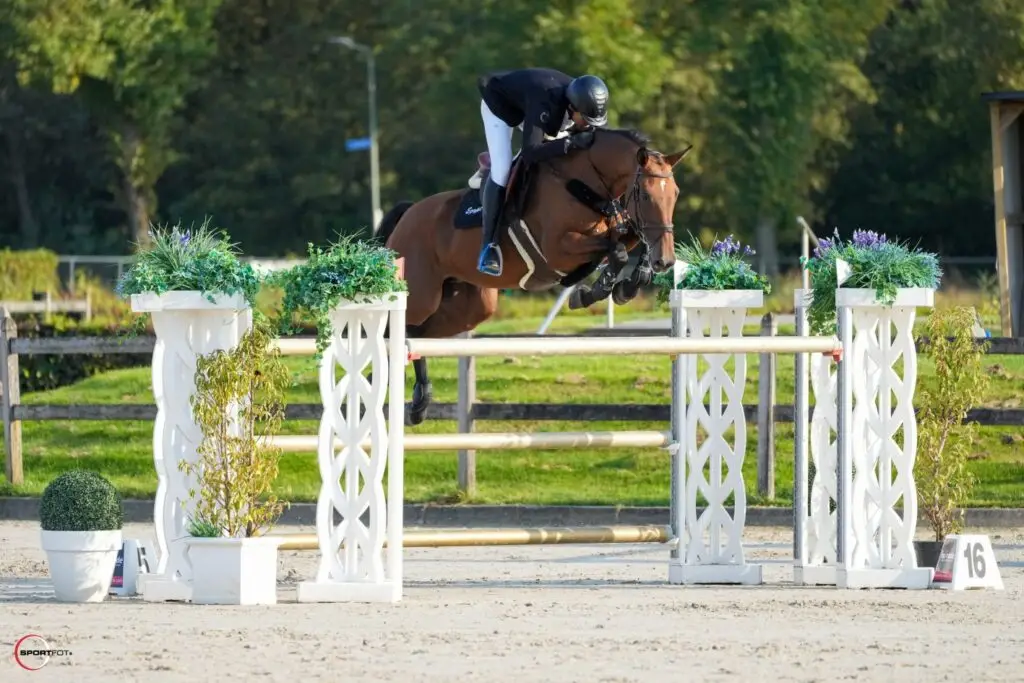 Troya de Olid jumping 1,55
