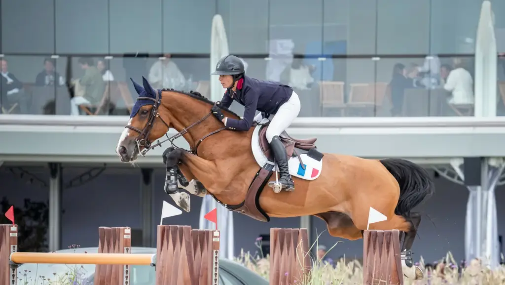 Nikka, a mare performing at 1,60m with Nina