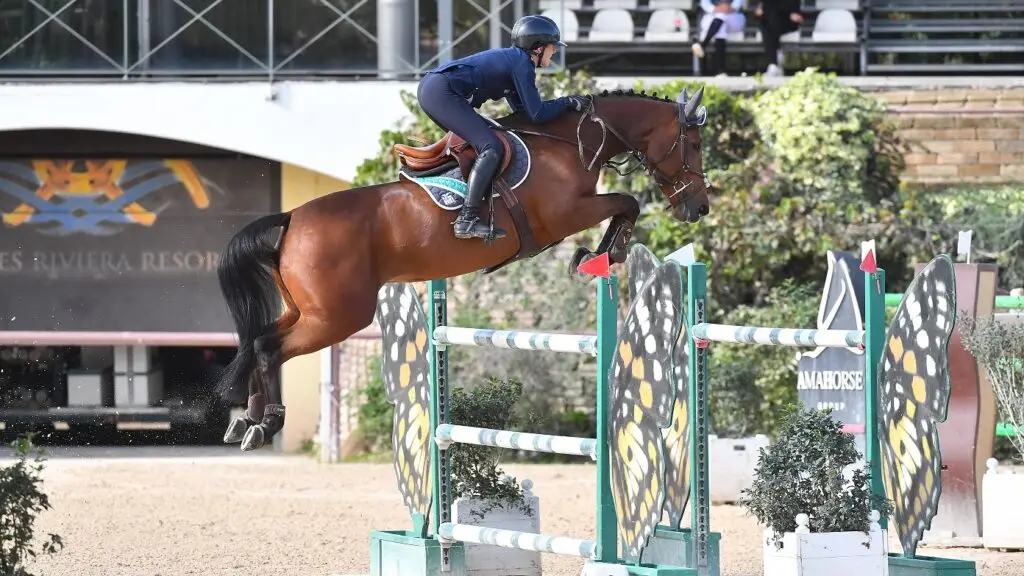 Quick, a 1,60m performing mare