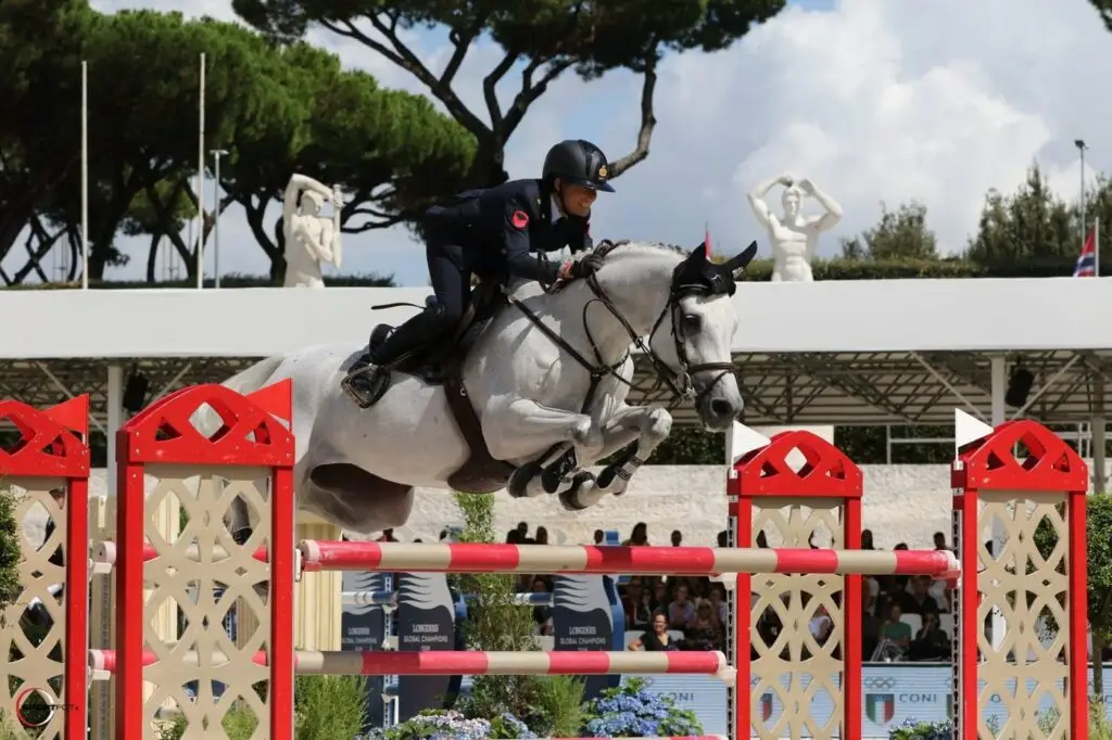 Courage des Fegie, mère de l’embryon Courage des Fegie × Diamant de Semilly