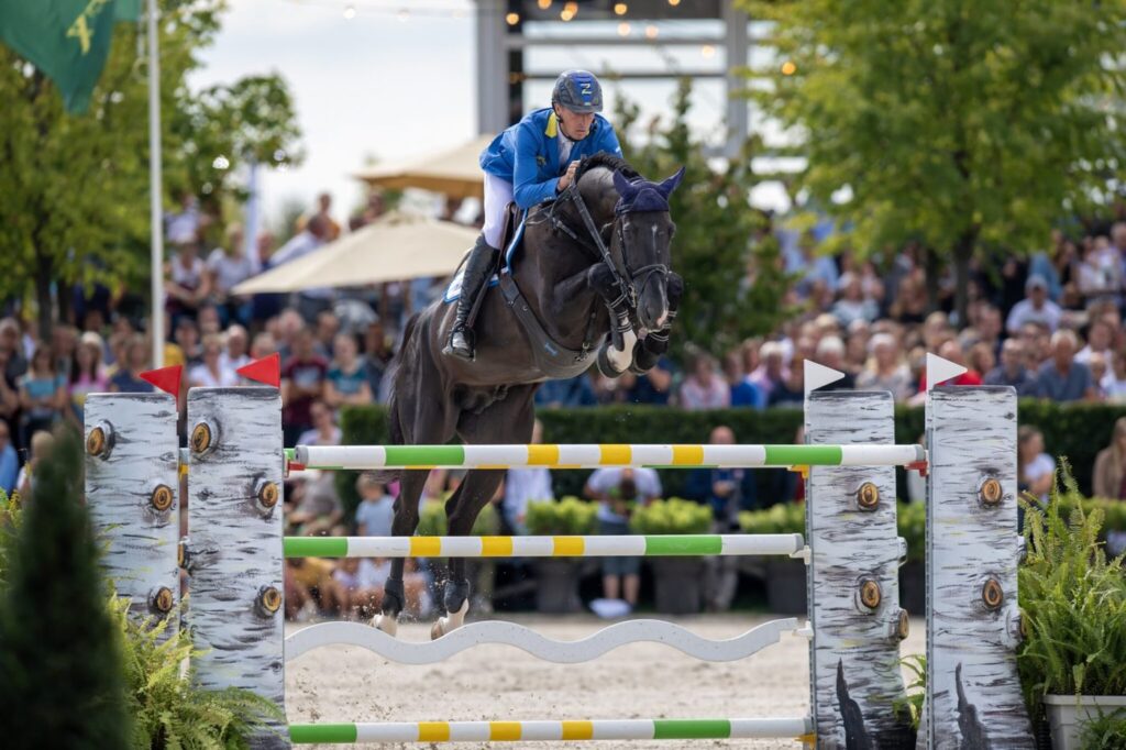 Dominator 2000, dans le pedigree de l’embryon Diamond Seeker × United Touch