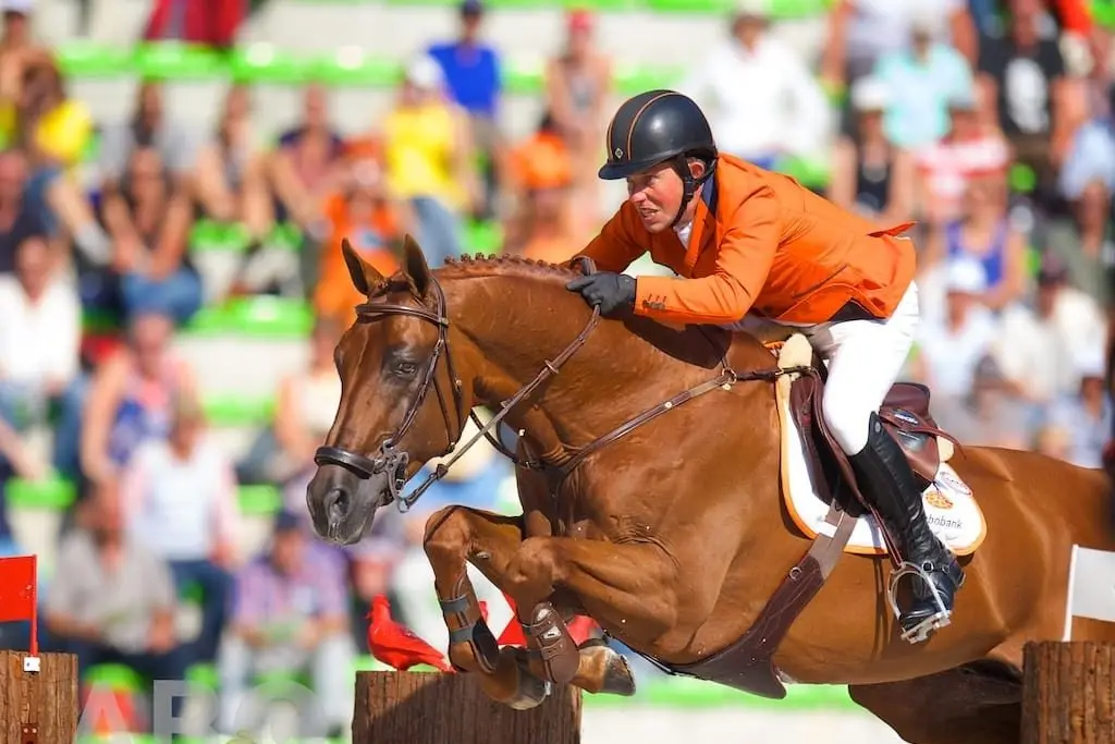Glock's London, dans le pedigree de l’embryon Naelle Z × Cumano